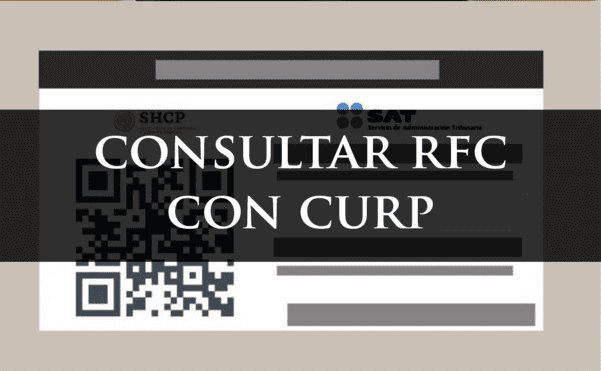 Consultar Rfc Con Curp